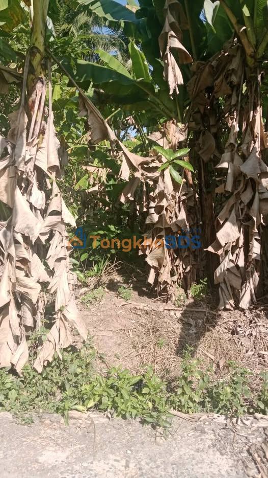 Đất Nền Ngã Năm Sóc Trăng - 120m² - Giá 180 Triệu - Sổ Hồng Sẵn Sàng