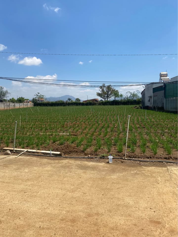 Đất Nền Đà Lạt 108m² - Sổ Đỏ Sẵn Sàng - Giá 870 Triệu