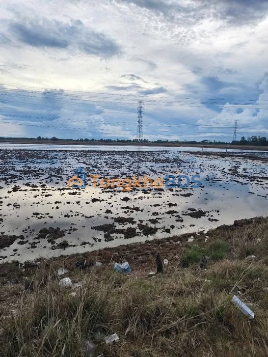 Đất nền 2400m² mặt tiền Trần Đề, Sóc Trăng - Đầu tư sinh lời