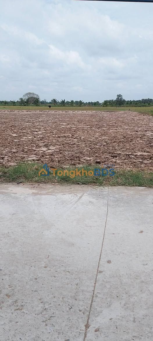 Đất Sóc Trăng 700m² Mặt Tiền Sông - Giá 420 Triệu Chính Chủ