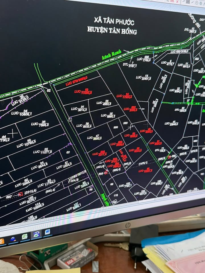 Bán Gấp 150 Công Đất Ruộng Vàng, Đồng Tháp - 20.25 Tỷ