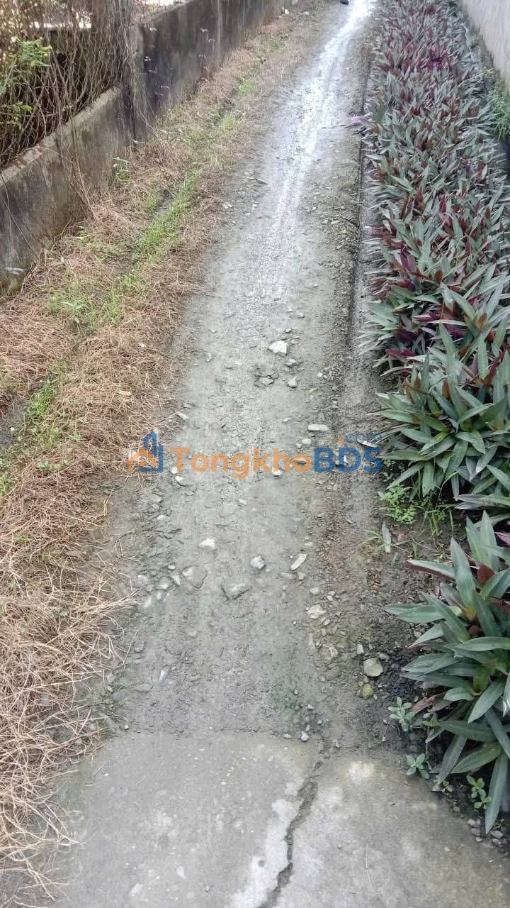 Đất Nền Hưng Long Bình Chánh 107m² - Sổ Hồng Thổ Cư, Giá Tốt