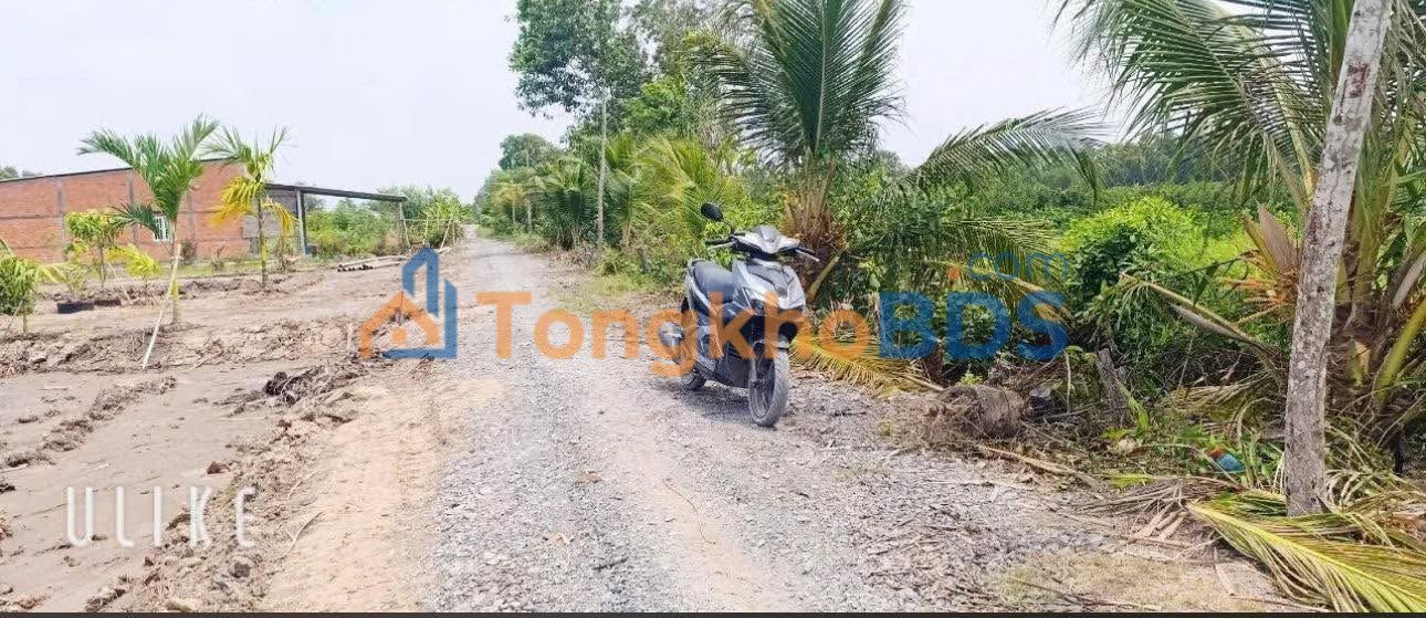 Bán Đất Vườn 1500m² Bến Lức - Sổ Hồng Riêng, Giá 1.05 Tỷ