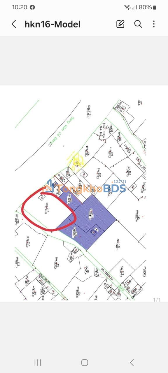 Đất Vườn Mặt Tiền Sông Vàm Cỏ Đức Hòa 8500m² - Giá Đầu Tư 11.5 Tỷ