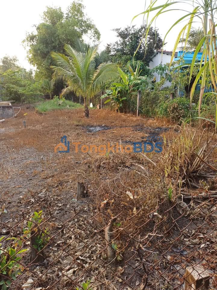 Đất Nền Cần Đước, Long An: 181m² Thổ Cư 100%, Sổ Hồng Riêng - Giá 2 Tỷ