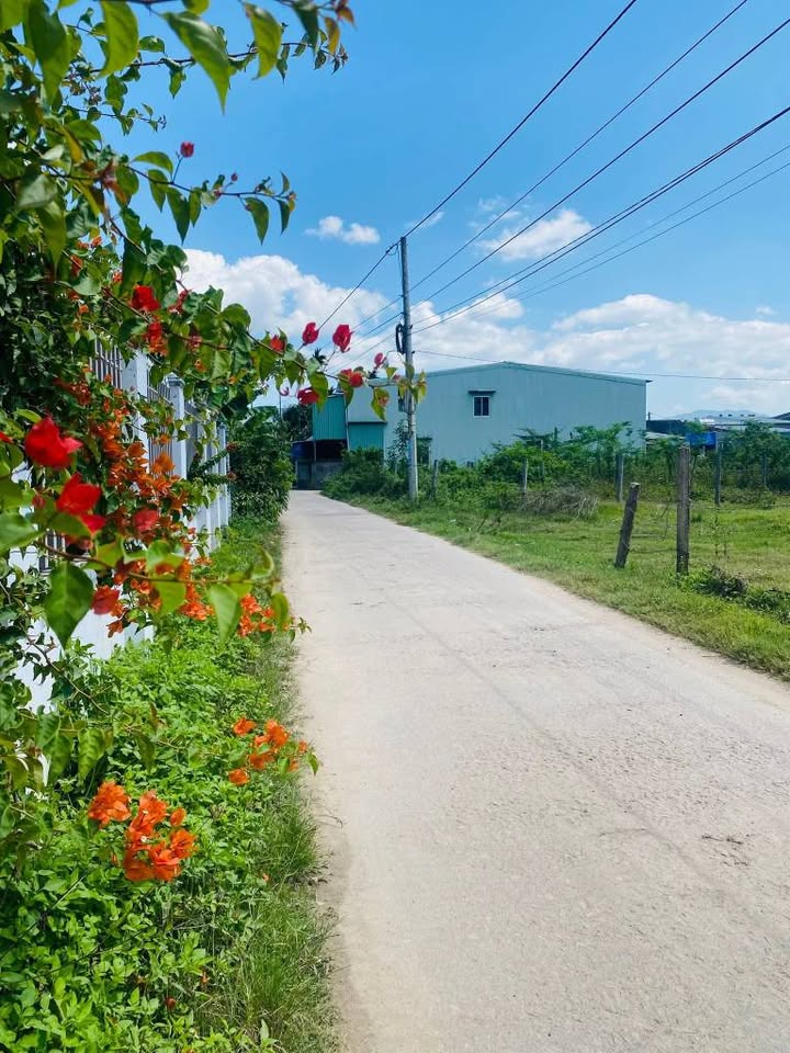 Bán Đất Nền Tuy Phước 250m² - Sổ Đỏ Sẵn Sàng, Trục Chính