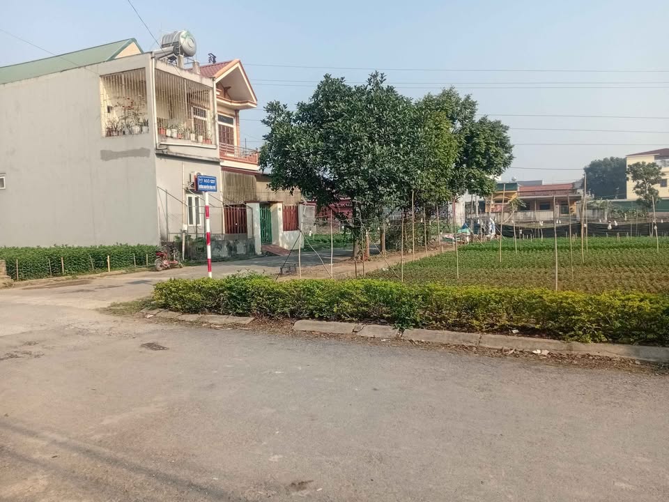 Đất nền 120m² Hoa Lư, Ninh Bình - Sổ đỏ trao tay, gần trường học