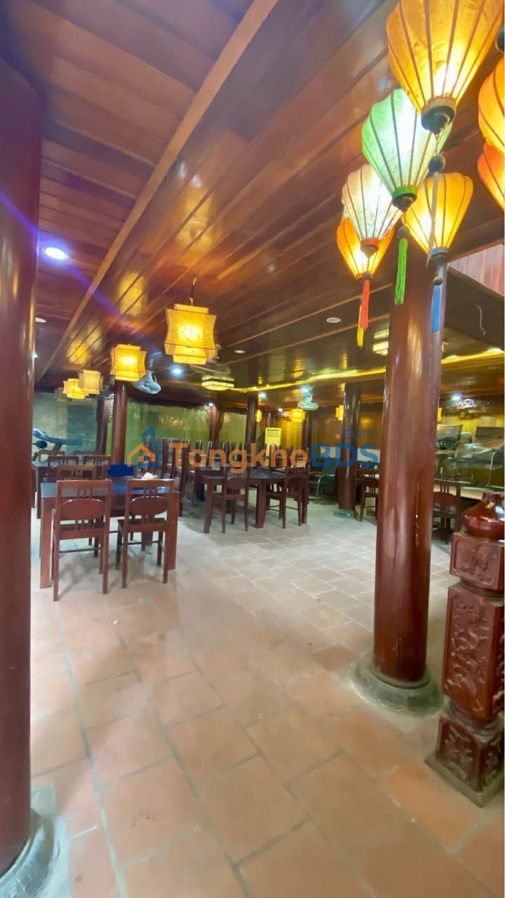 Đất Vàng Đống Đa 370m² - Tặng Nhà Gỗ Lim 10 Tỷ - Đầu Tư Sinh Lời Khủng