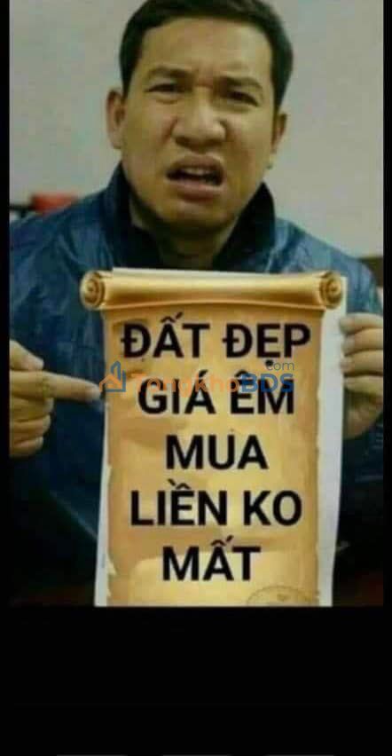 Đất Vàng 255m² Trương Định, Hai Bà Trưng - Sổ Đỏ Chính Chủ, Giá 16.6 Tỷ