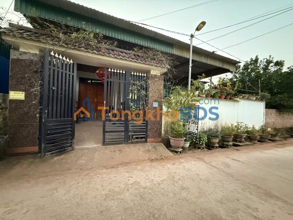 Đất Nền Full Thổ Cư Mộc Châu - 243.9m² Mặt Tiền Rộng, Sẵn Nhà Ở Ngay