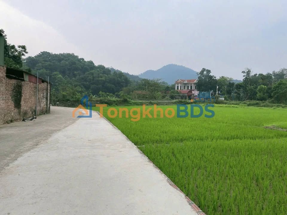Đất Vàng Sóc Sơn 380m² - Kinh doanh Homestay, Villa View Núi