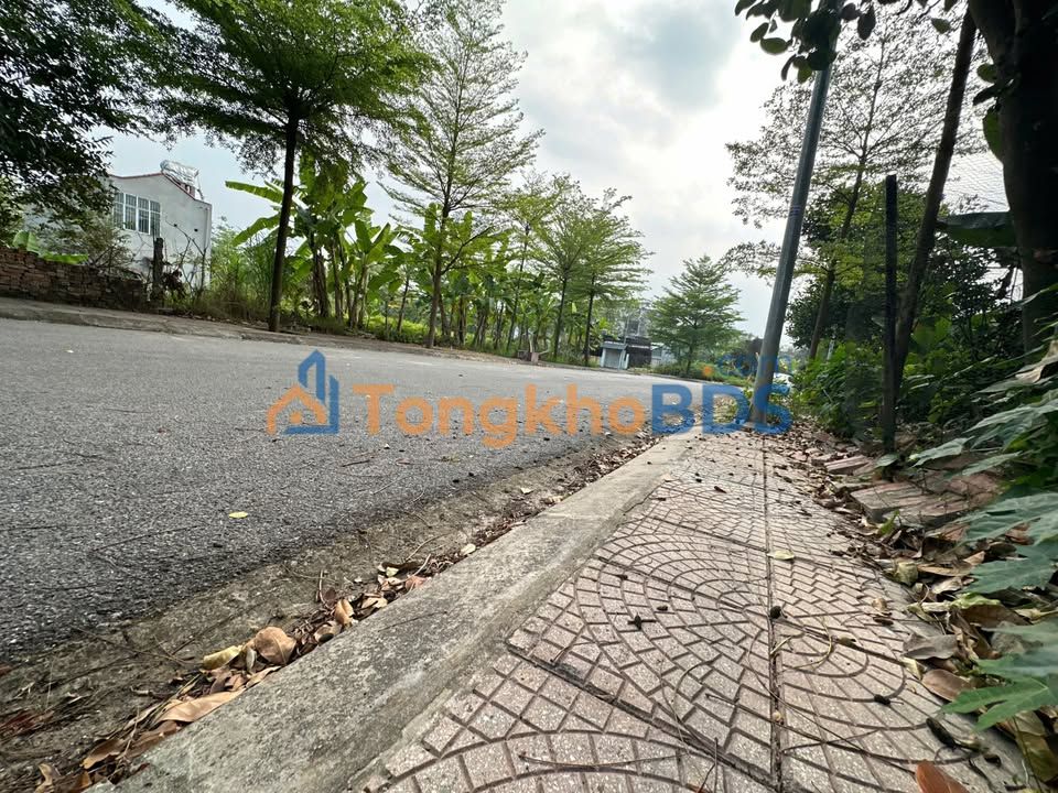 Đất nền Mậu Lâm Vĩnh Yên 100m² Full Thổ Cư - Sổ Đỏ Sẵn Sàng