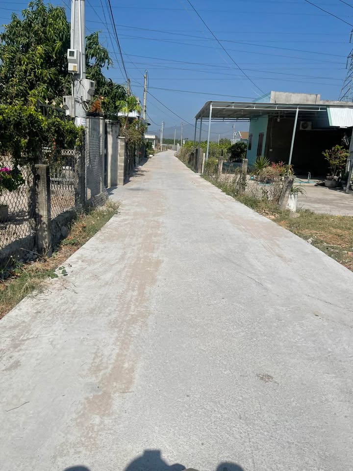 Đất Thổ Cư Bắc Bình 130m² - Sẵn Sàng Xây Nhà Ở Ngay