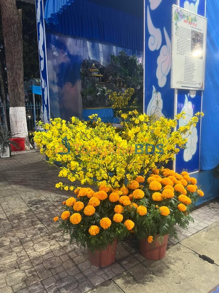 Đất Vàng 1.600m² Mặt Tiền Đường Nhựa Châu Thành, Tây Ninh - Giá Đầu Tư 17.5 Tỷ