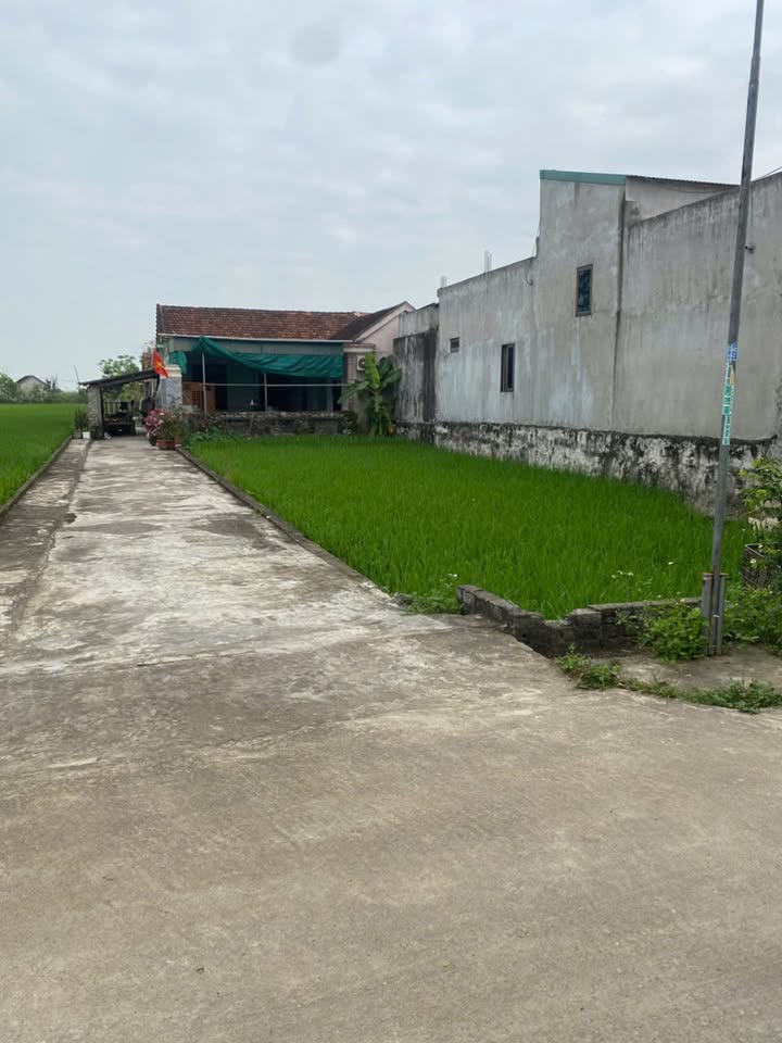 Bán Đất Lô Góc Minh Châu, Diễn Châu 166.6m² Giá 1 Tỷ xxx - Sẵn Sàng Đầu Tư