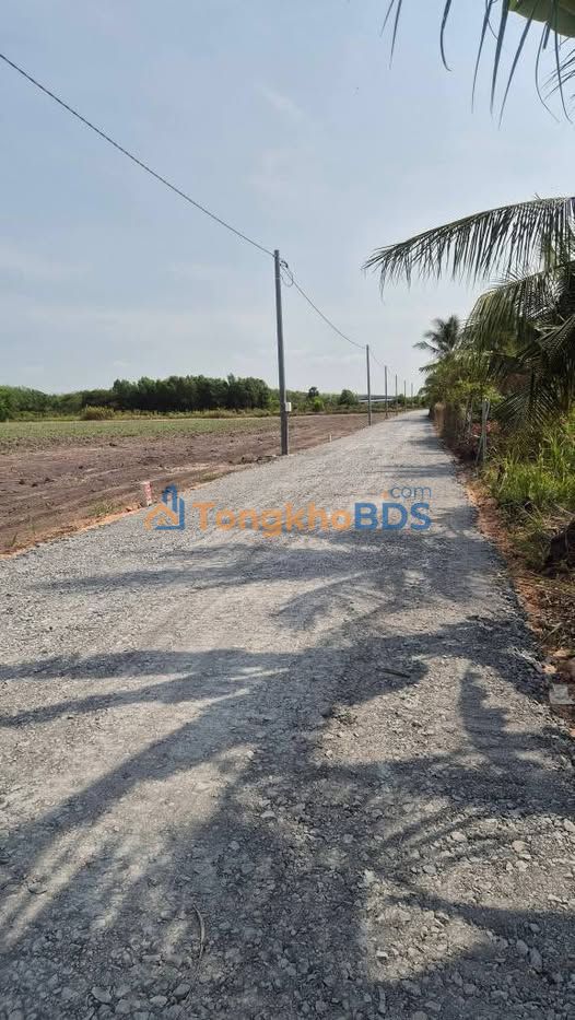 Đất Vườn 1000m² Sổ Hồng Tại Hòa Hội, Tây Ninh - Giá Chỉ 255 Triệu