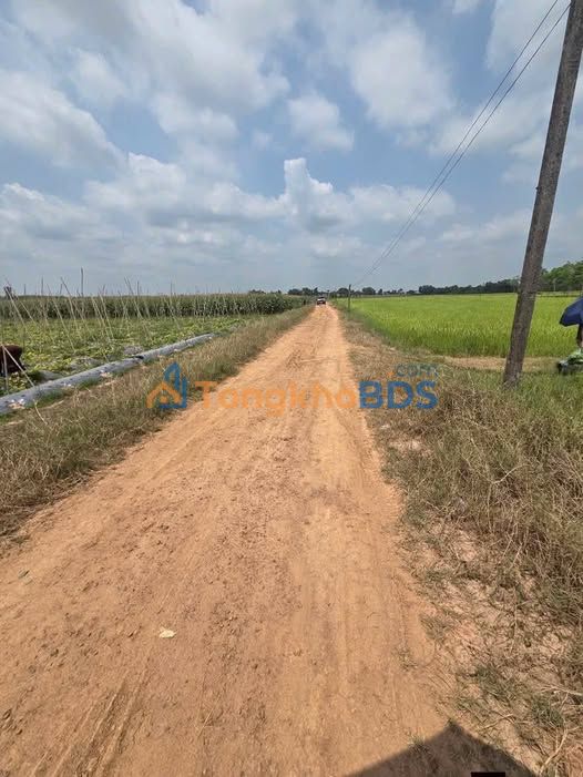 Bán Đất Mặt Tiền Sỏi Ninh Điền, Châu Thành - 1000m² Giá 160 Triệu