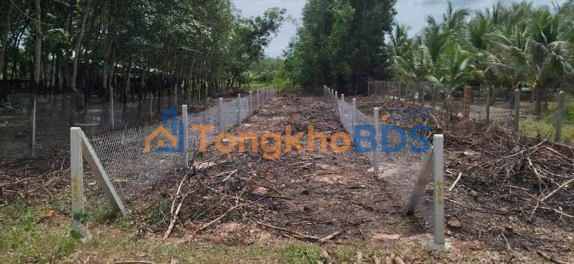 Đất Mặt Tiền Đường Nhựa Tân Biên, Tây Ninh - 202m² Giá 270 Triệu