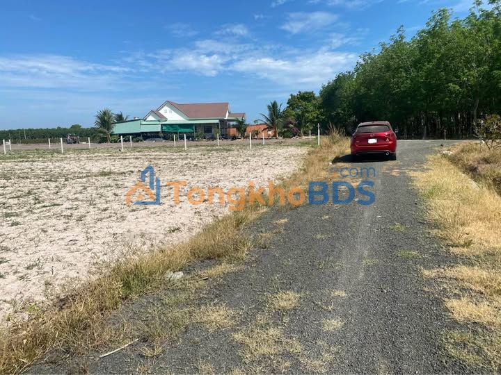 Đất Vườn Tây Ninh 9890m² Giá 460 Triệu - View Núi Bà, Sẵn Sổ Đỏ