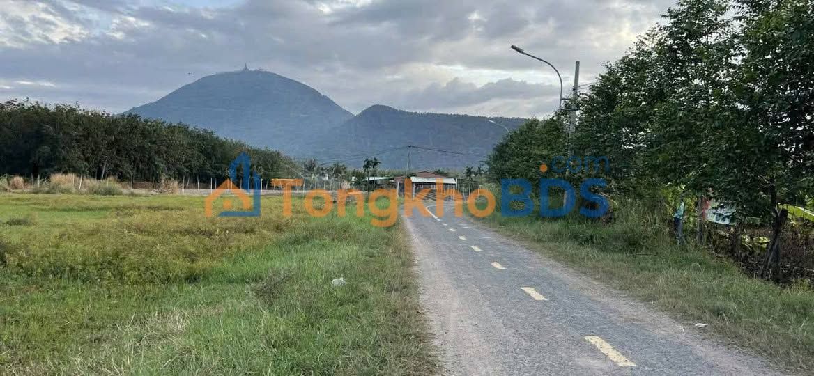 Đất Vườn Tây Ninh 900m² - Nở Hậu - 349 Triệu/Sổ Hồng