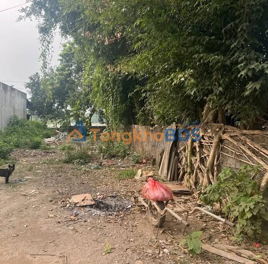 Bán Đất Tuyên Quang 150m² - Gần Trục Triệu Việt Vương, Giá 5xx Triệu