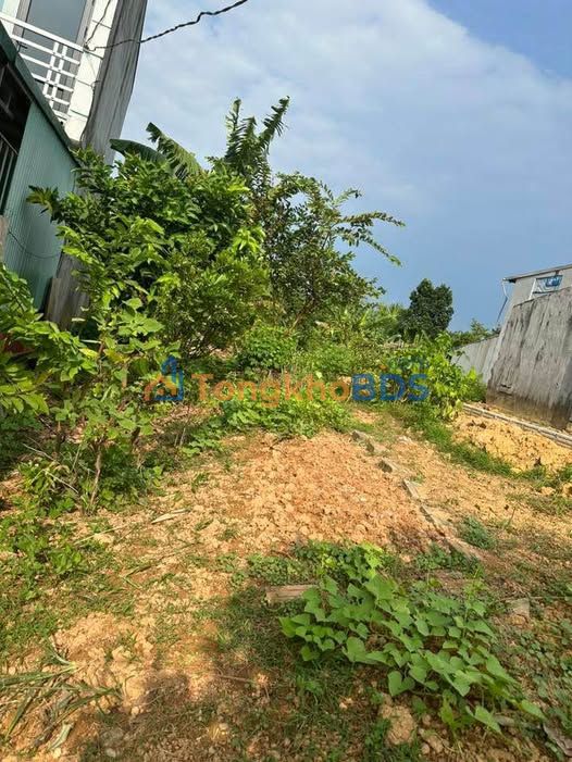 Bán Đất Kim Phú, Tuyên Quang 241m² - Sổ Đỏ Thổ Cư, Gần QL37