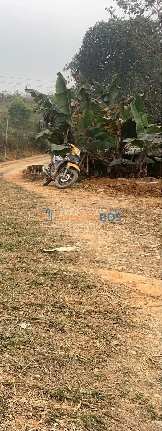 Đất Trung Tâm An Tường 90m² - Sổ Đỏ Rõ Ràng, Giá Tốt