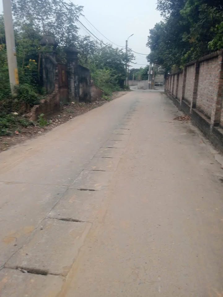 Bán đất 100m² full thổ cư Phường Đồng Xuân, Phúc Yên - Giá 1 tỷ