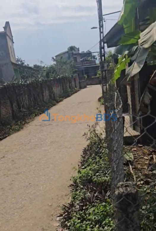 Đất An Tường Tuyên Quang 224m² 1 tỷ - Đường to ô tô