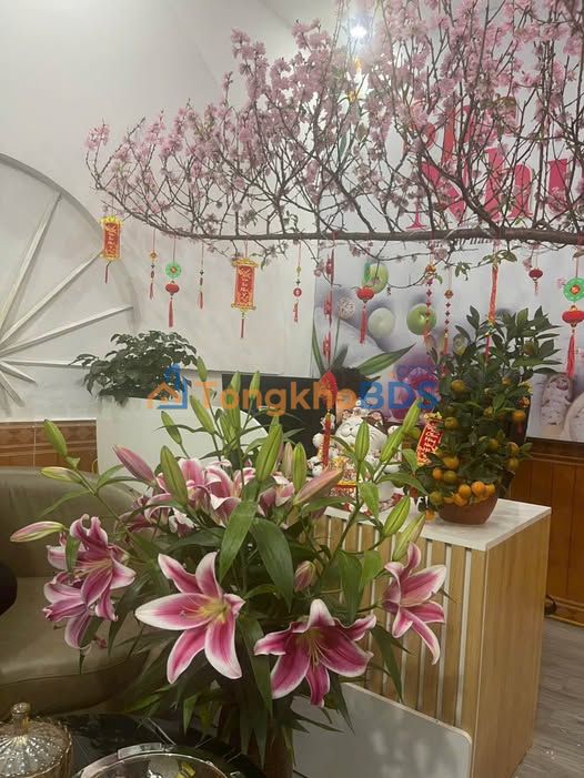 Bán Đất Thổ Cư 223m² Thôn Thăng Long 1, Tuyên Quang - Sổ Hồng Sẵn Sàng