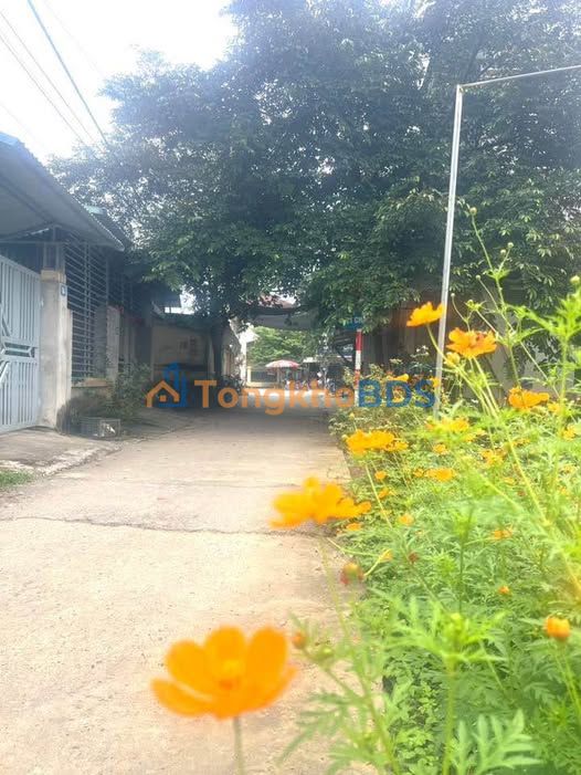 Nhà 115m² Tràng Đà, Tuyên Quang - Giá 1.1 Tỷ, Ô tô Đỗ Cửa, Sổ Hồng Sẵn Sàng