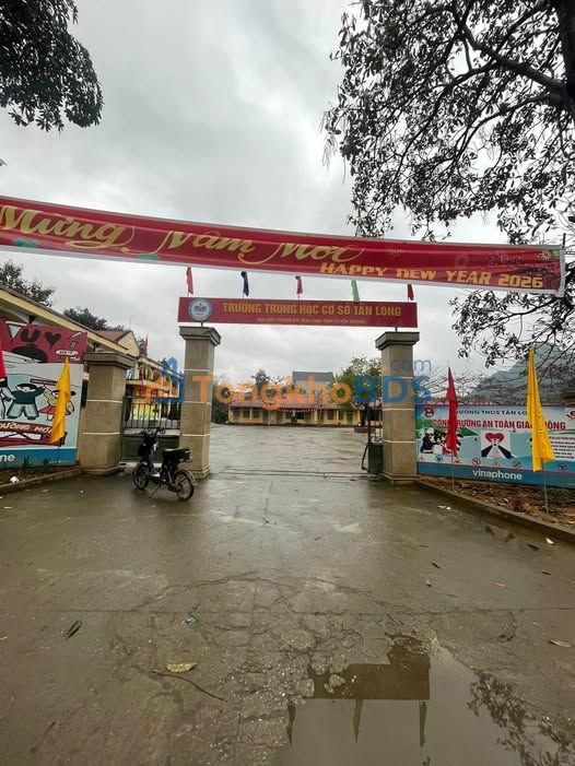 Đất nền Tân Long Yên Sơn 100m² 800 triệu - Sổ đỏ chính chủ