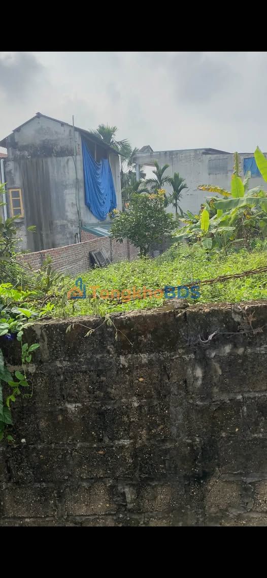 Đất Tổ dân phố 4 160m² 1 tỷ - Sổ đỏ chính chủ