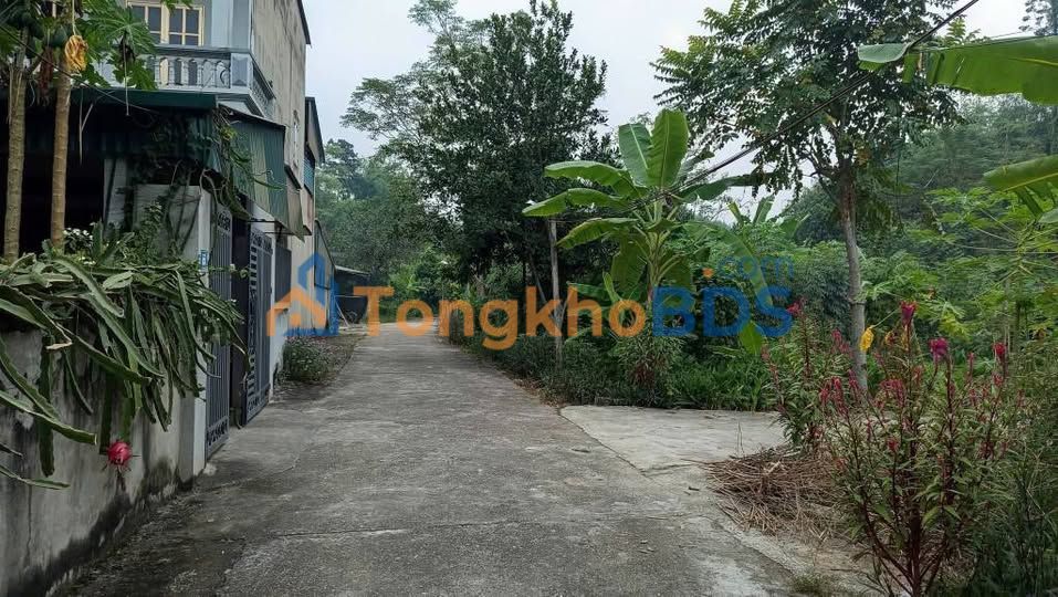 Bán Đất 80m² Phường Minh Xuân, Tuyên Quang - Sổ Đỏ, Đường Ô Tô