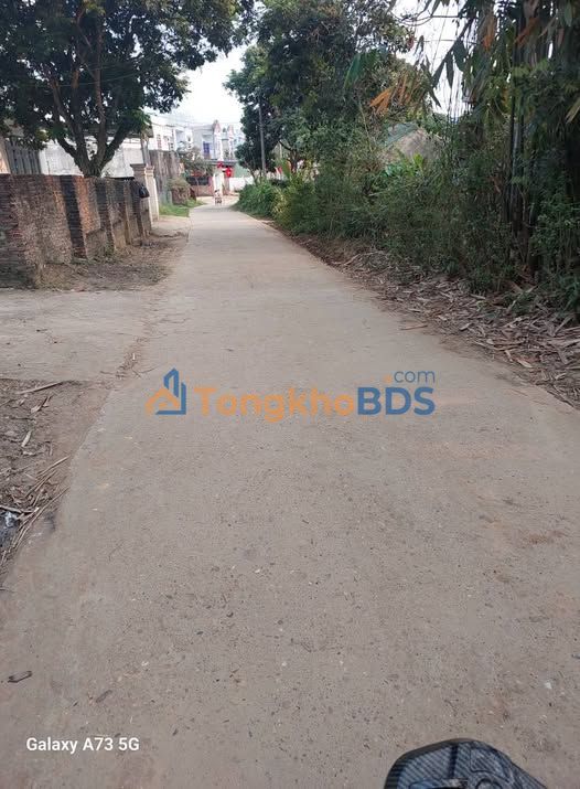 Đất nền An Tường 176m² 1.5 tỷ - Tiềm năng tăng giá