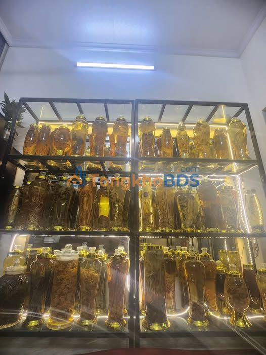 Bán Đất 2 Mặt Tiền 169m² Phường Ỷ La, Tuyên Quang - Giá 2.7 Tỷ