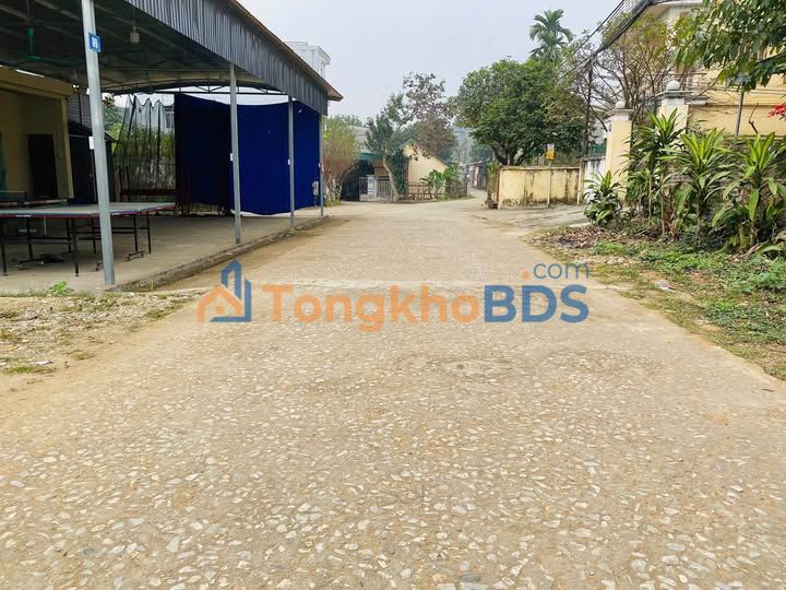 Đất nền Ngõ Sông Lô 135m² 800 triệu - Sổ đỏ chính chủ