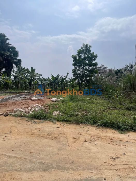 Đất TDP3 Ỷ La 126m² thỏa thuận - Sổ đỏ chính chủ