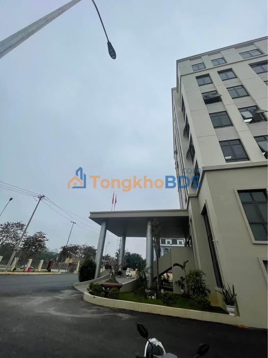 Nhà Mặt Tiền Kinh Doanh Trần Đại Nghĩa - 56m² - 3.2 Tỷ