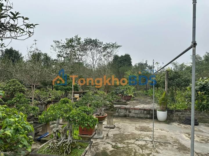 Đất nền Minh Xuân Tuyên Quang 50m² 700-799 triệu - Thổ cư 100%