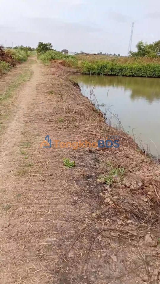 Đất nền Phường 2 Cà Mau 10.000m² 1,5 tỷ - Sổ đỏ chính chủ