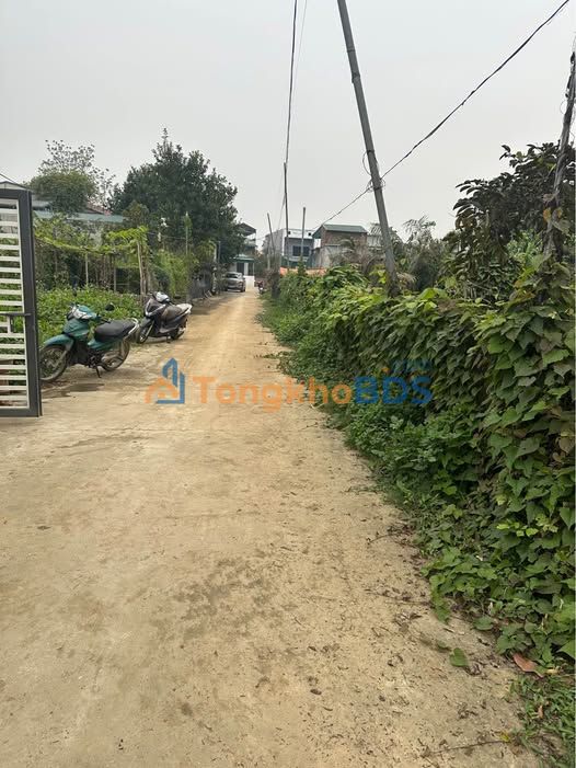 Đất nền Tuyên Quang 624m² thổ cư - Sẵn sàng xây biệt thự/chia lô