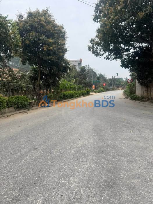 Bán đất thổ cư 120m² mặt tiền đường nhựa, gần QL50 - Chiêm Hóa, Tuyên Quang