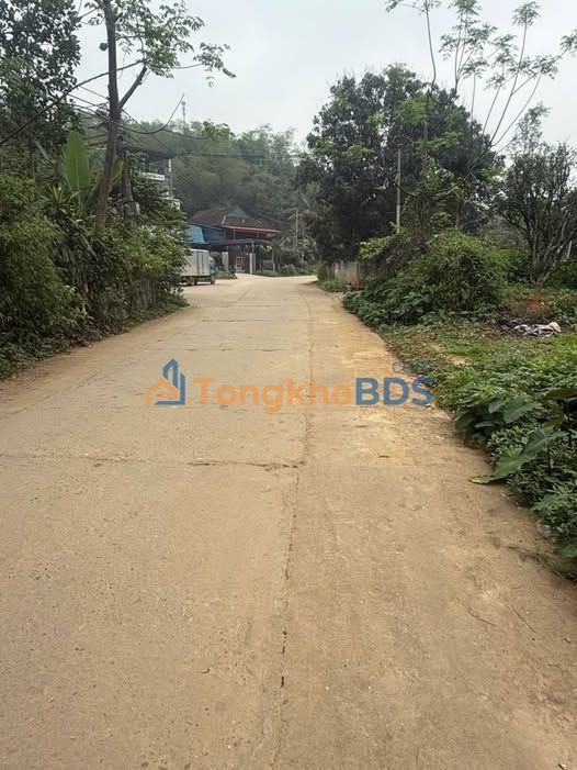 Bán Đất Vàng Phường Hưng Thành, Tuyên Quang - Mặt Tiền 15m, 321m², Giá Dưới 3.6 Tỷ