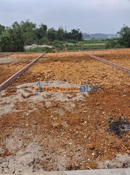 Đất nền Đường Hiên, Tuyên Quang 100m² - Sổ đỏ sẵn sàng, giá dưới 1 tỷ