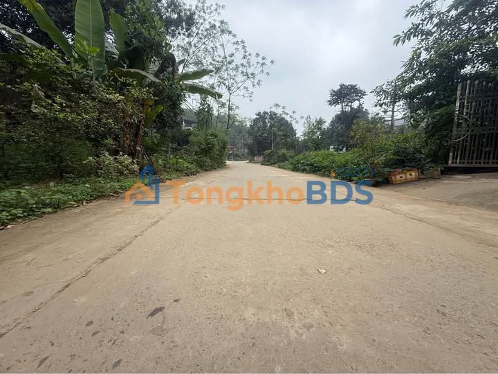 Bán Đất Mặt Đường Tuyên Quang 321m² - Vị Trí Kinh Doanh Đắc Địa