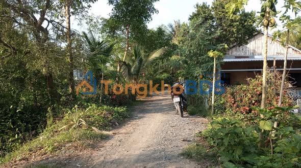 Bán Đất Nền 165m² Mặt Tiền Huyện Lộ Số 3, Sa Đéc - Thổ Cư Đầy Đủ