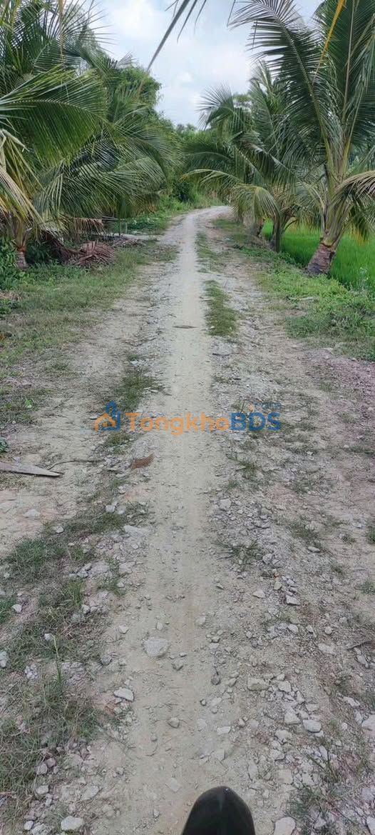 Bán Gấp Đất Vườn An Giang 8344m² - Sẵn Sàng Cải Tạo