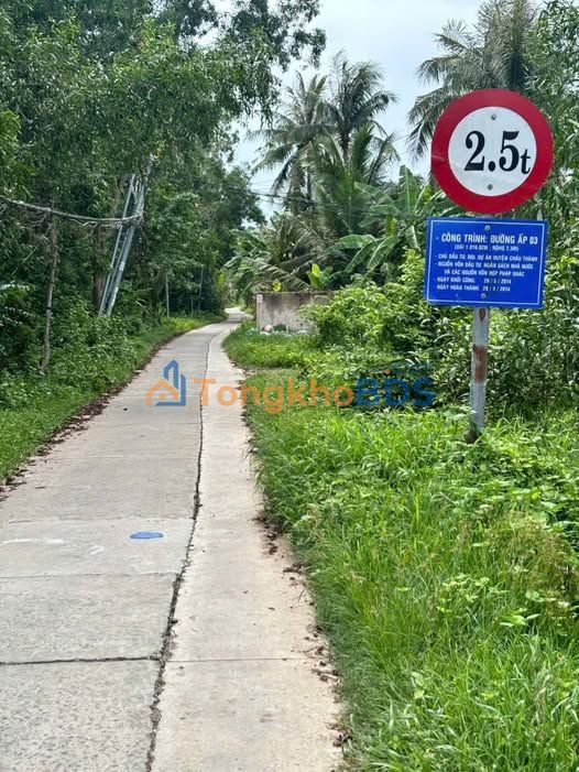 Đất Vĩnh Long 1300m² - Sổ Đỏ Rõ Ràng, Đường Ô Tô