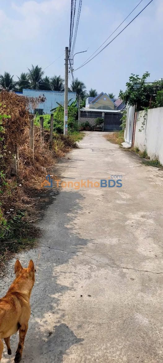 Bán Nền Đất Thổ Cư 102m² Phường 8 Bến Tre - Giá Từ 850 Triệu